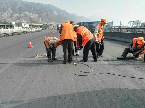 潘集道路桥梁病害治理